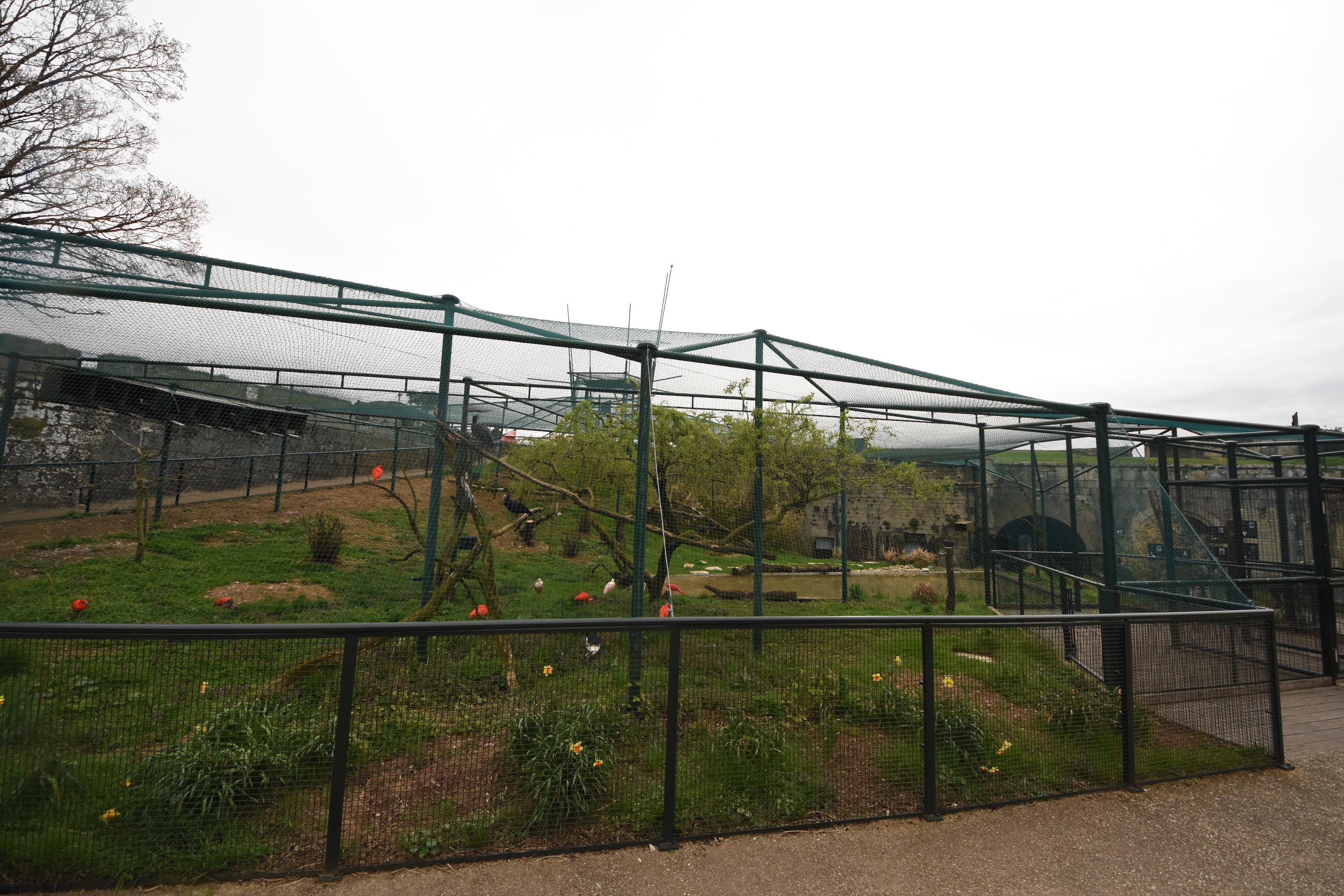 Wader aviary
