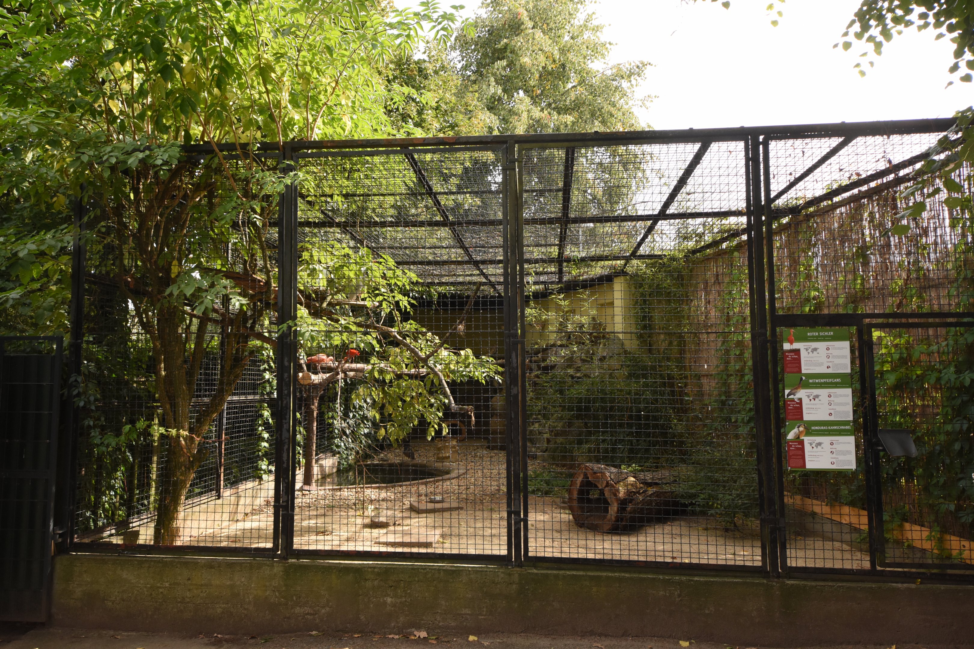 Wader aviary