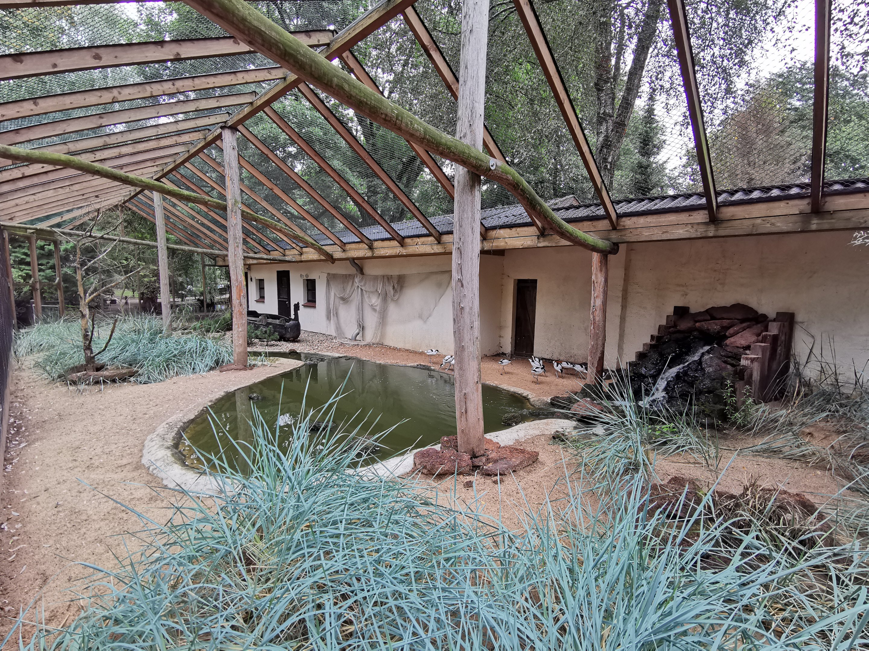 Wader aviary