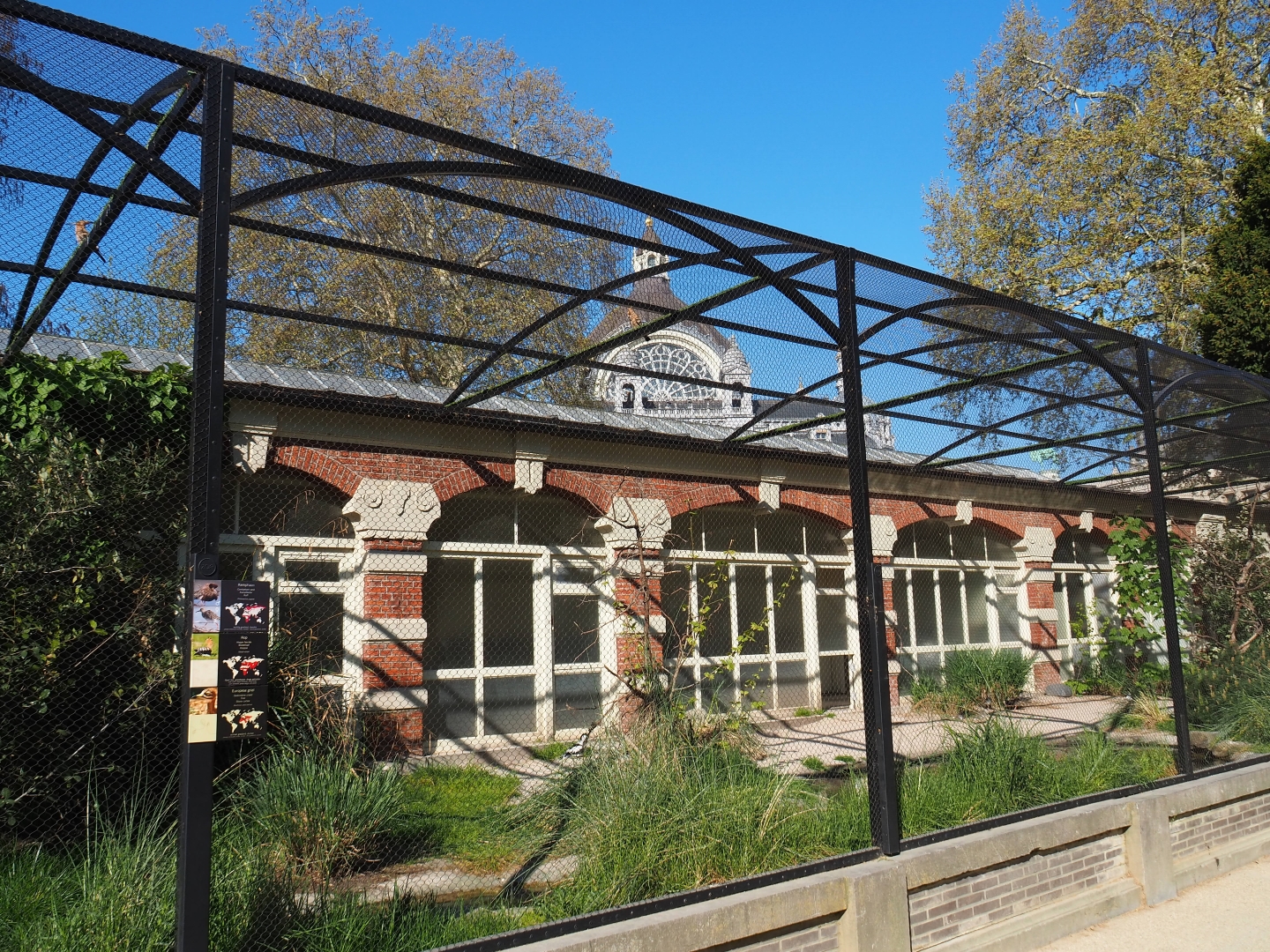 Wader bird aviary, 2019-04-20