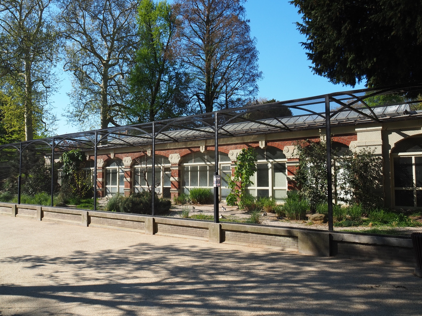 Wader bird aviary, 2019-04-20