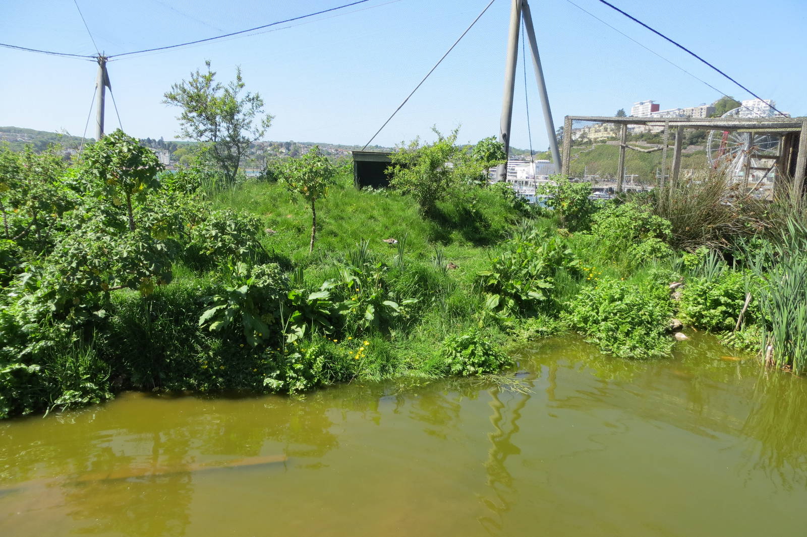 Wader Enclosure 160515
