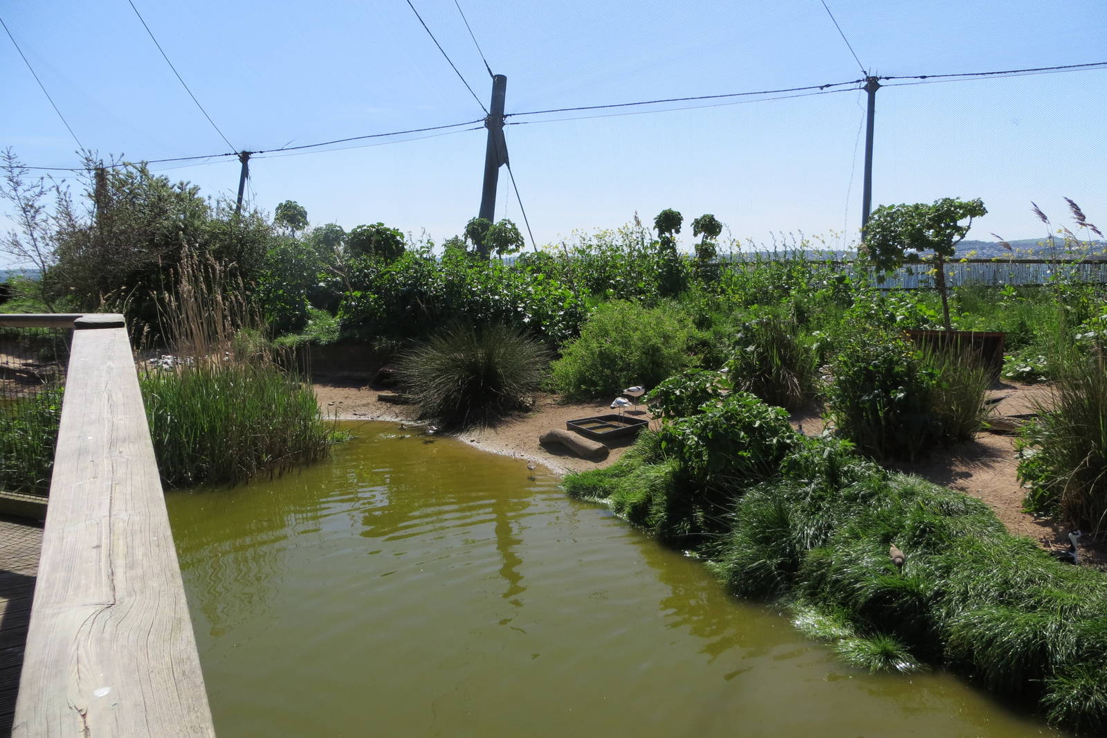 Wader Enclosure 160515