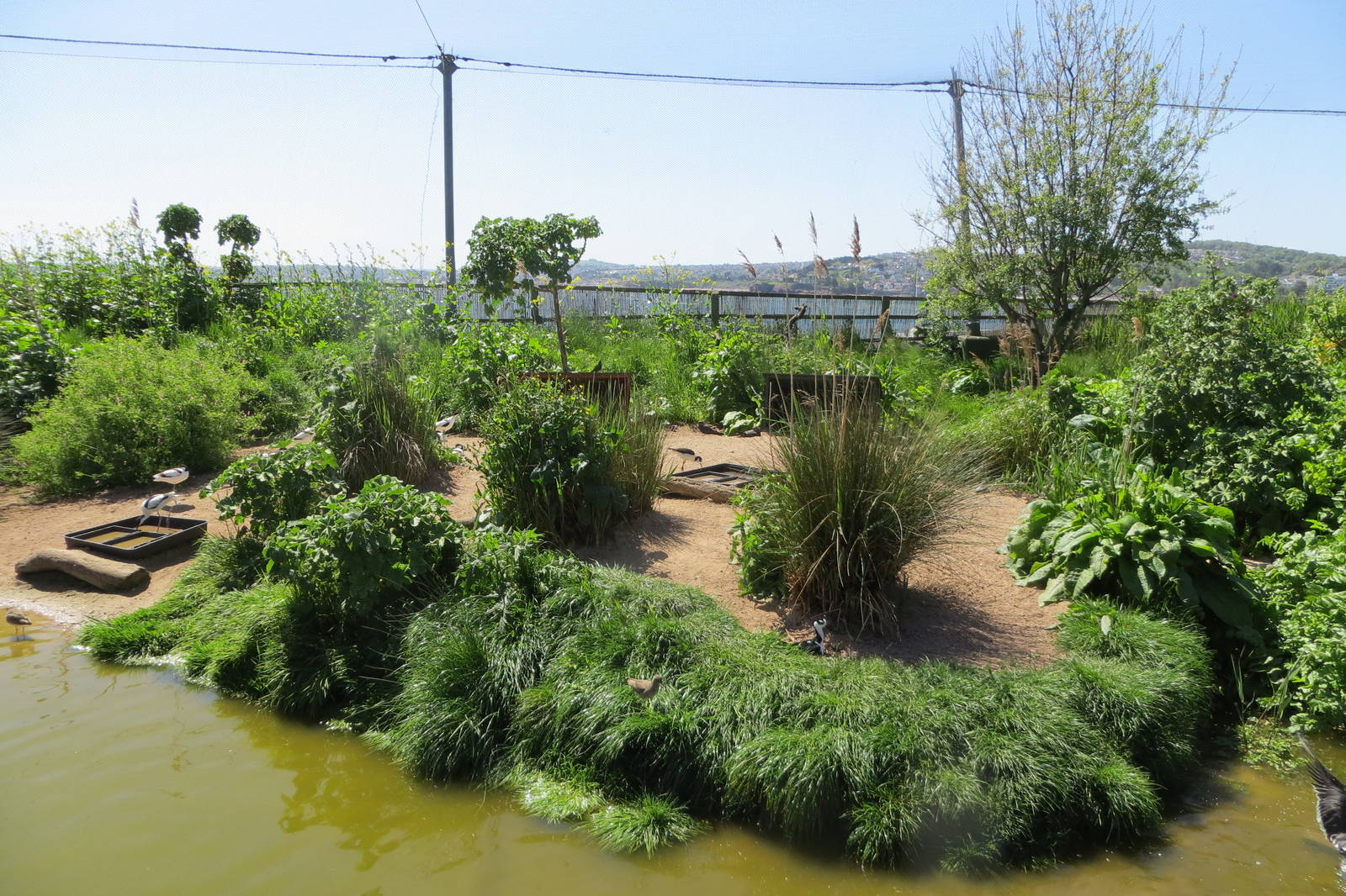 Wader Enclosure 160515