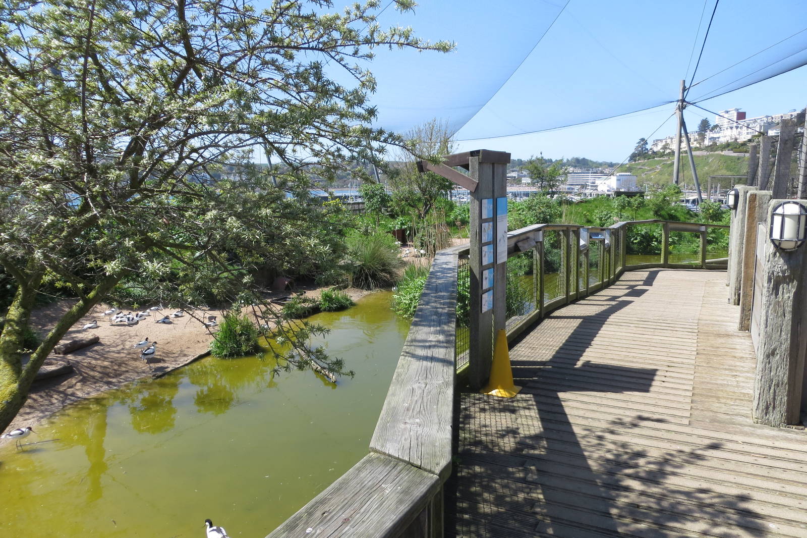 Wader Enclosure 160515