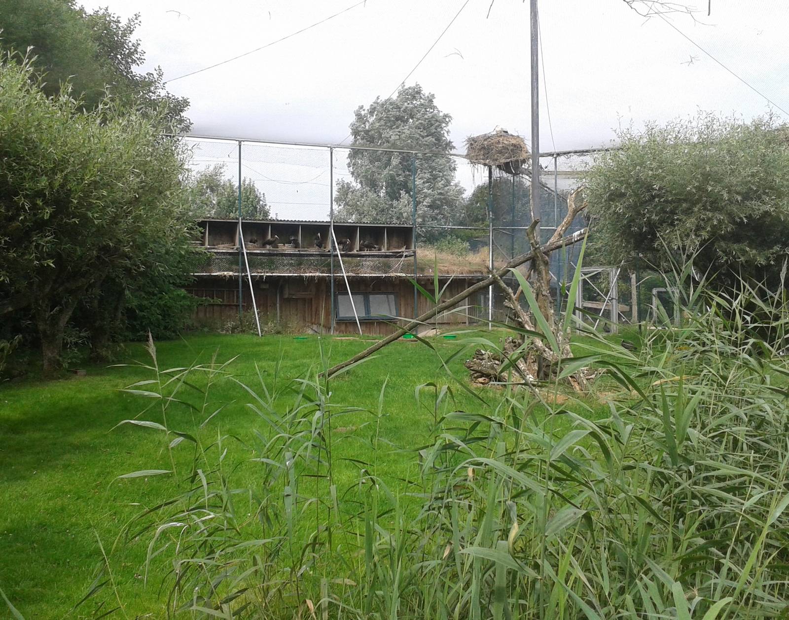 Wader walk-through aviary