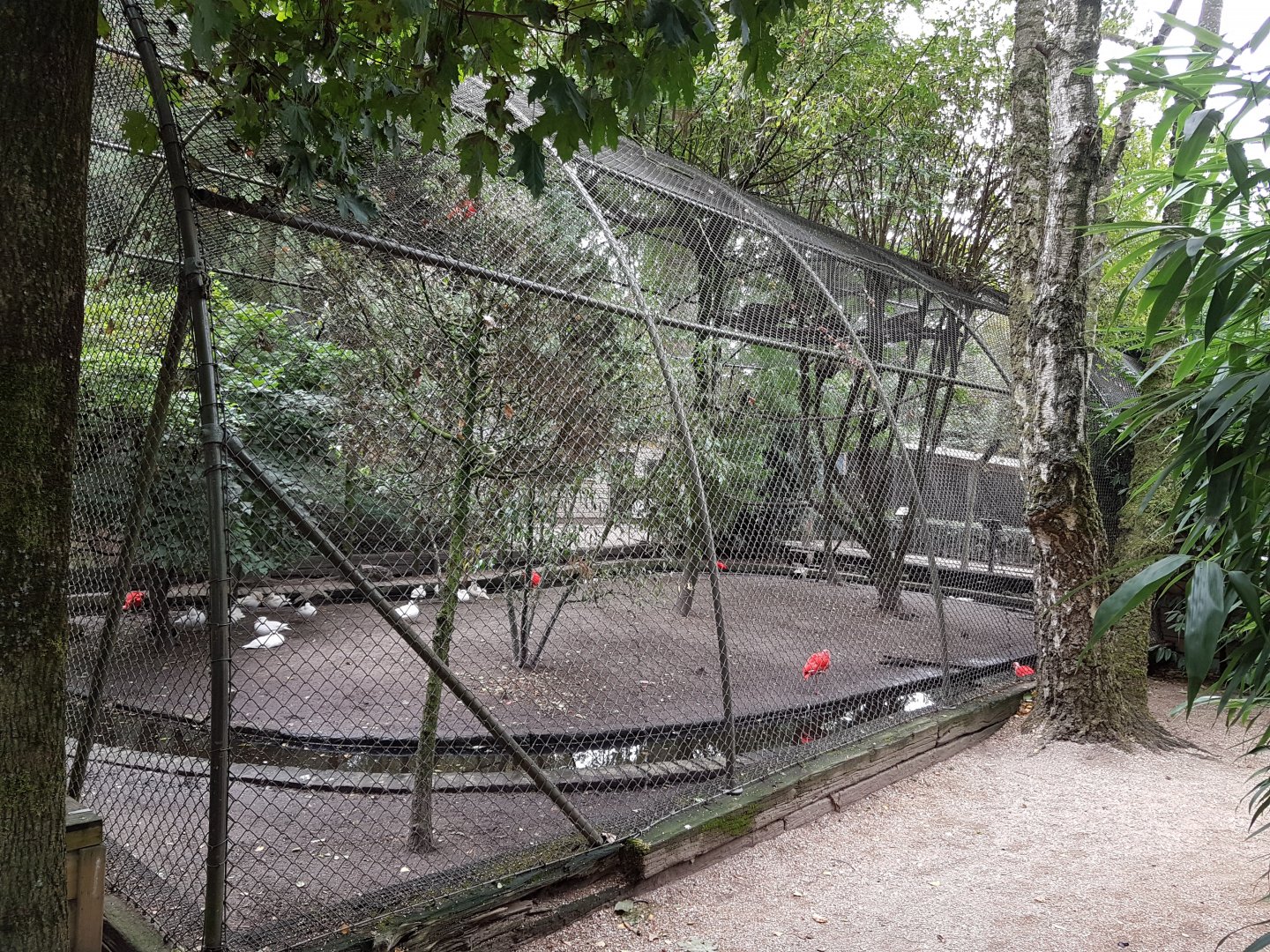 Wader - waterfowl aviary