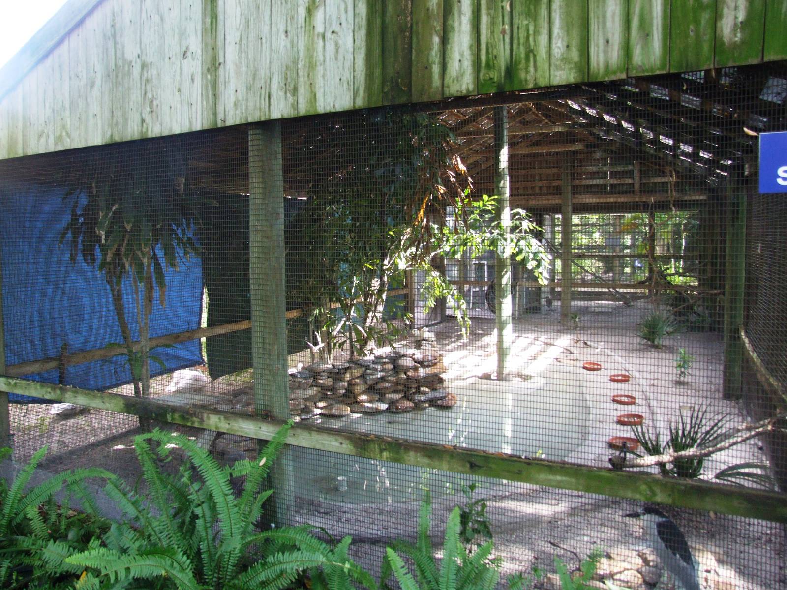 Wading Bird Aviary at Save our Seabirds, 07/10/13