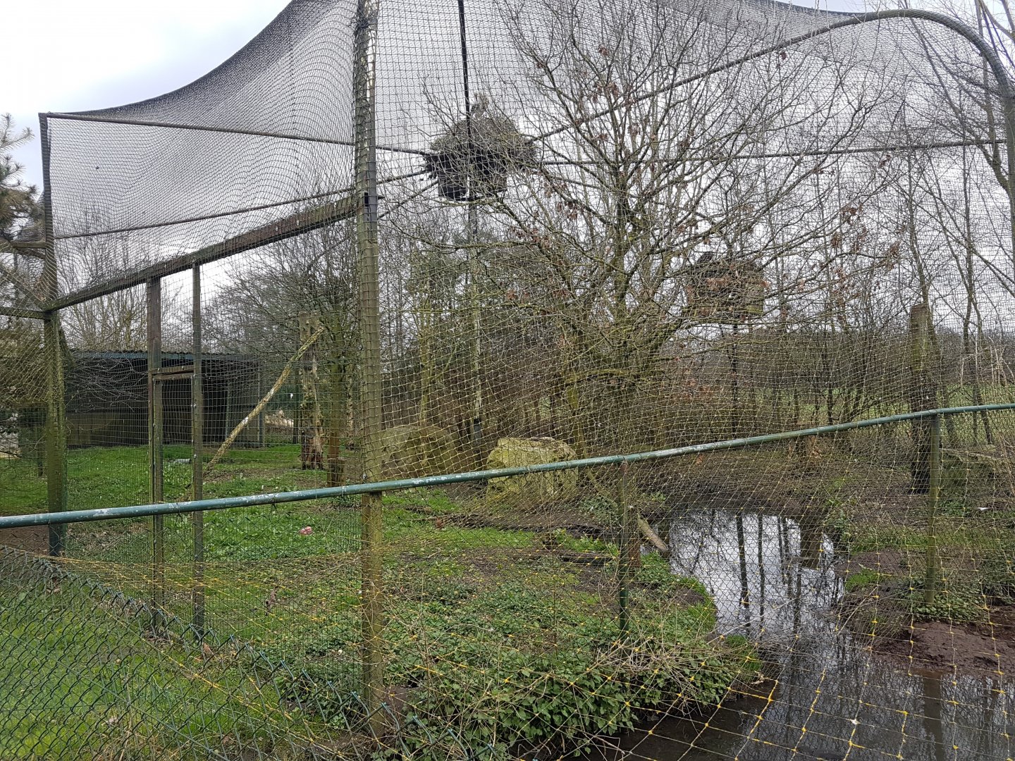 Wading-bird-aviary - with stork-nest on top