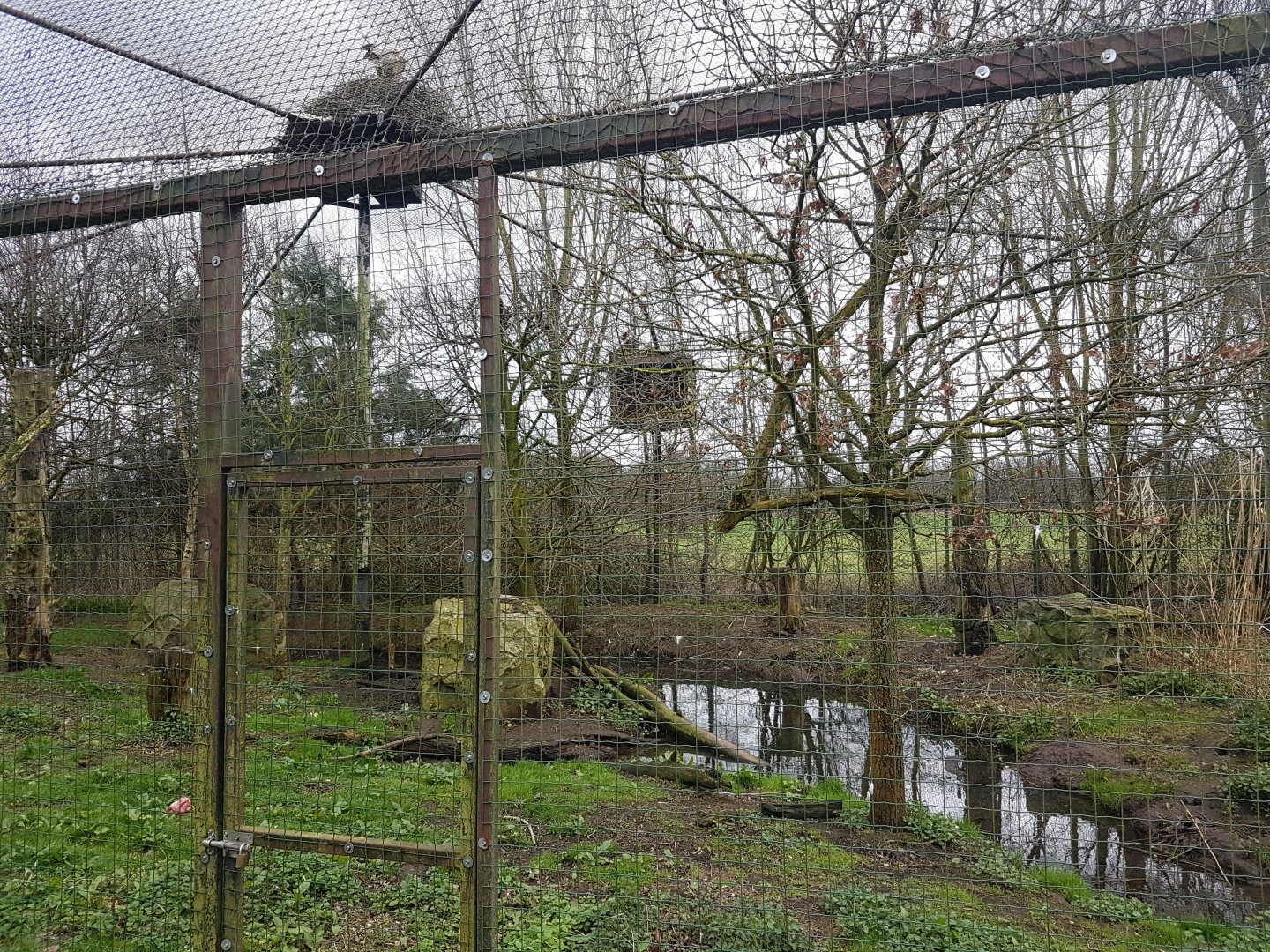 Wading-bird-aviary