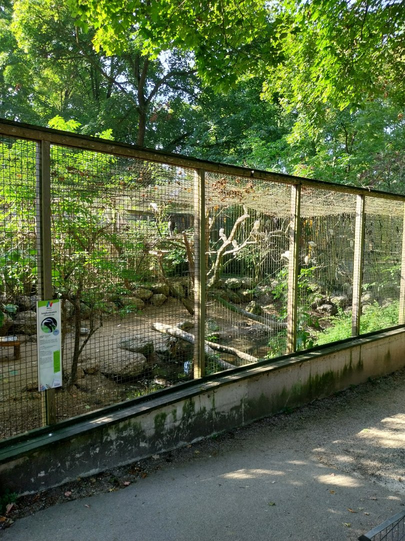 Wading bird aviary