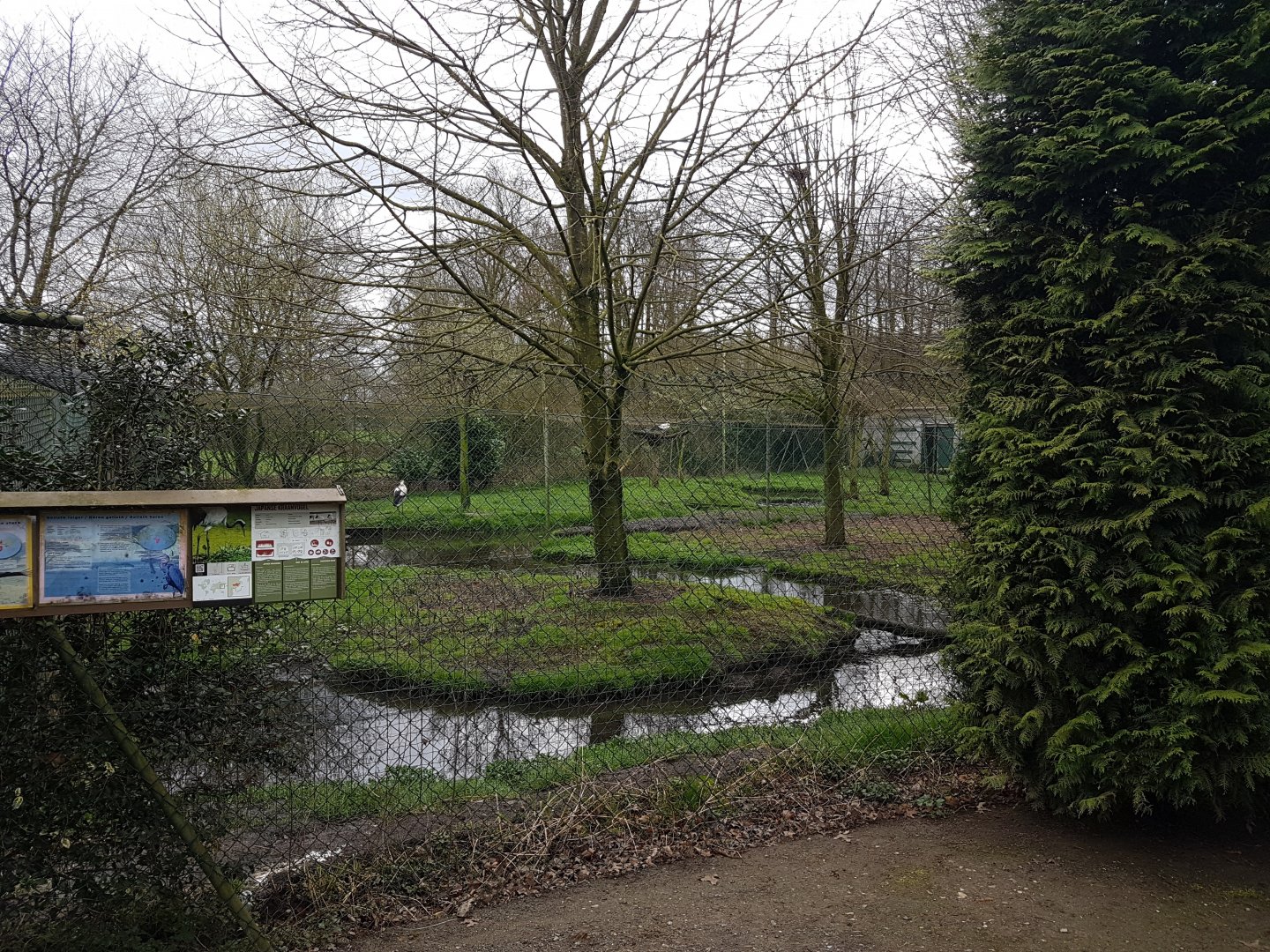 Wading-bird-enclosure