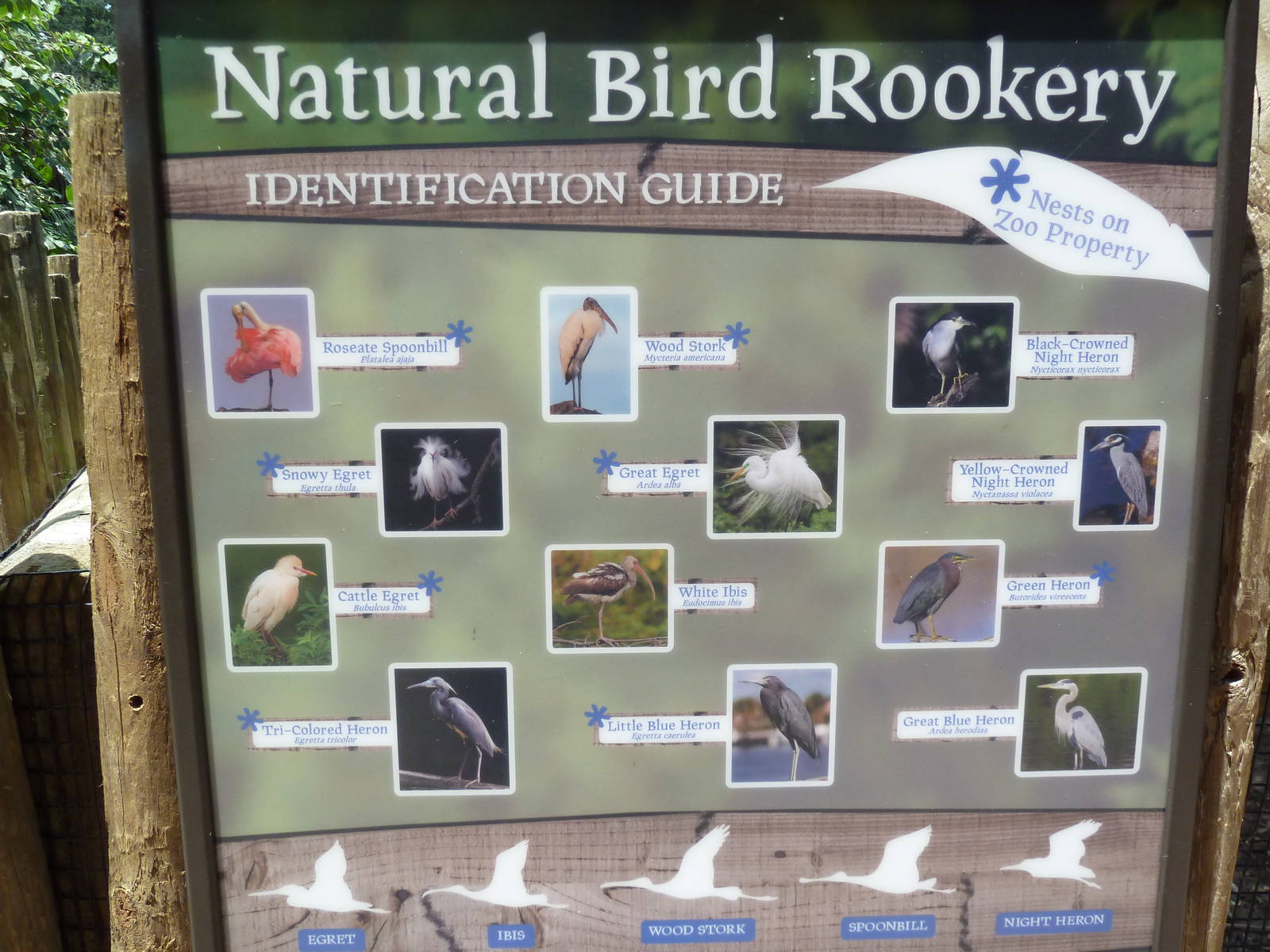Wading Bird Rookery Sign