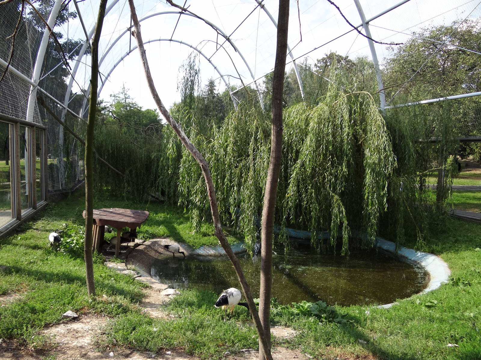 Wading birds aviary
