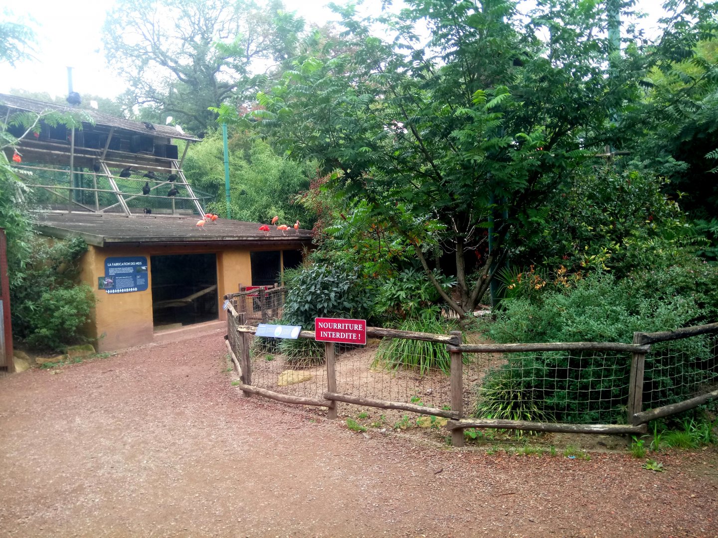Wading Birds Walkthrough Aviary