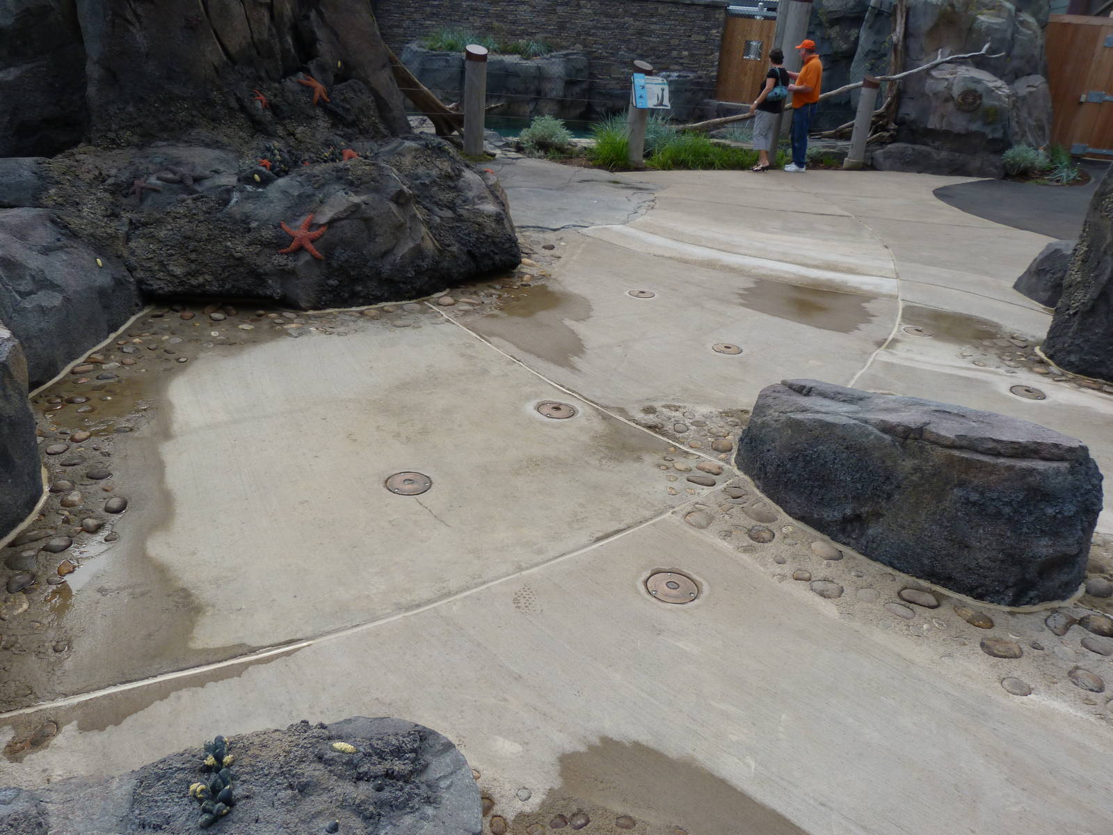 Wading Pool (Empty) American Trails