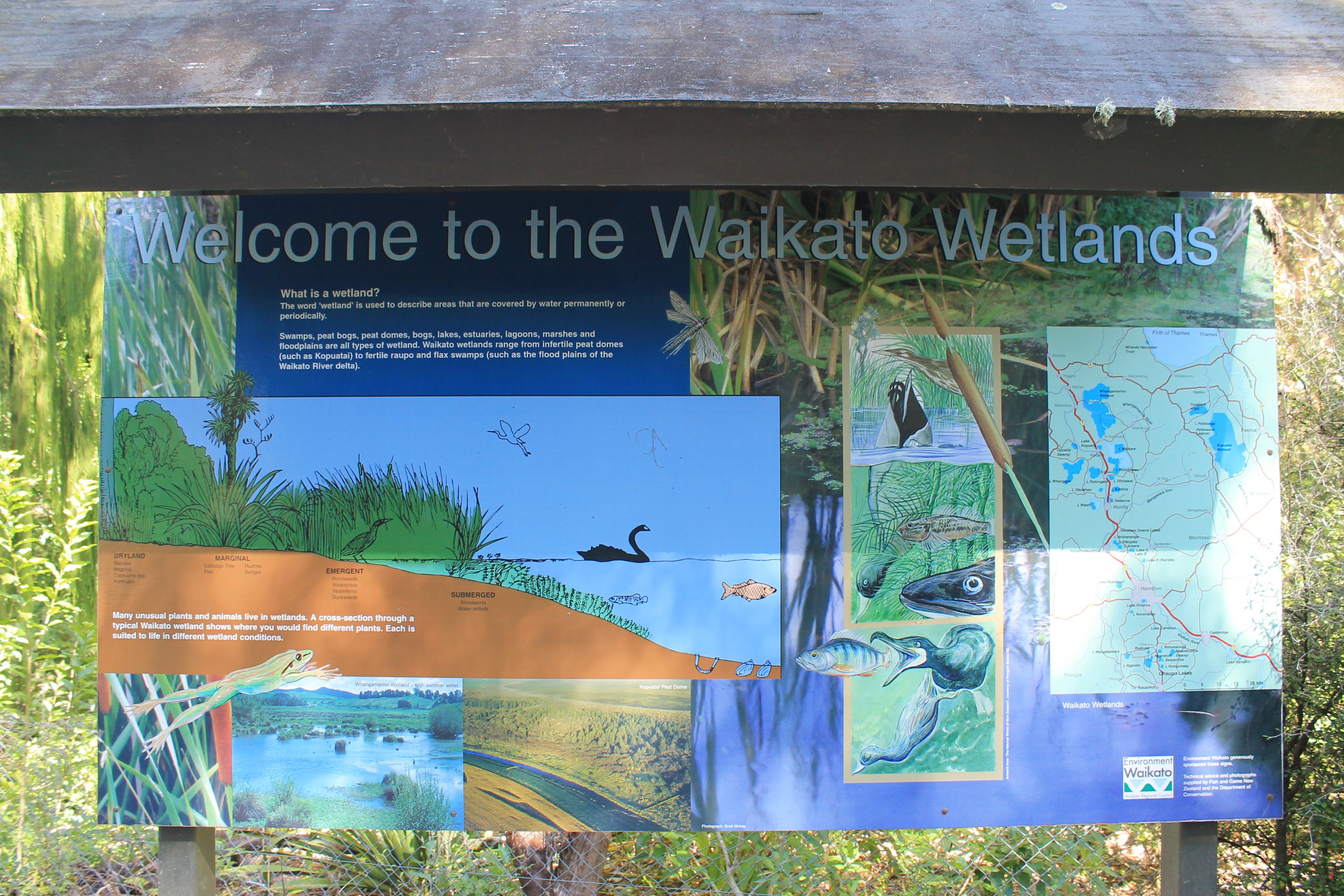Waikato Wetlands sign