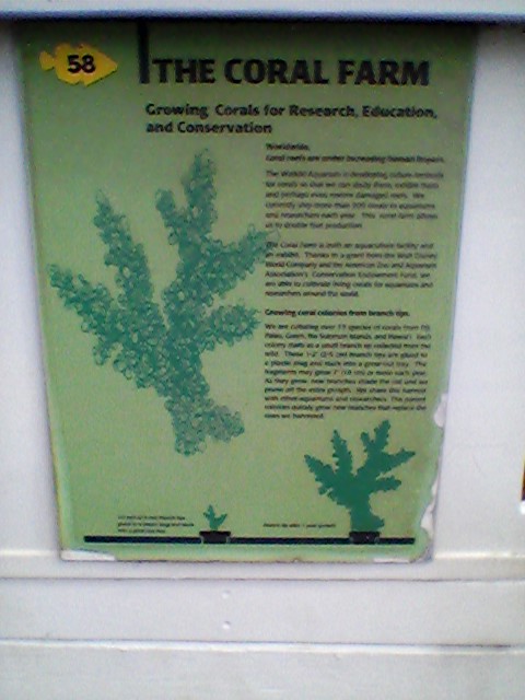 Waikiki Aquarium Coral Farm Sign