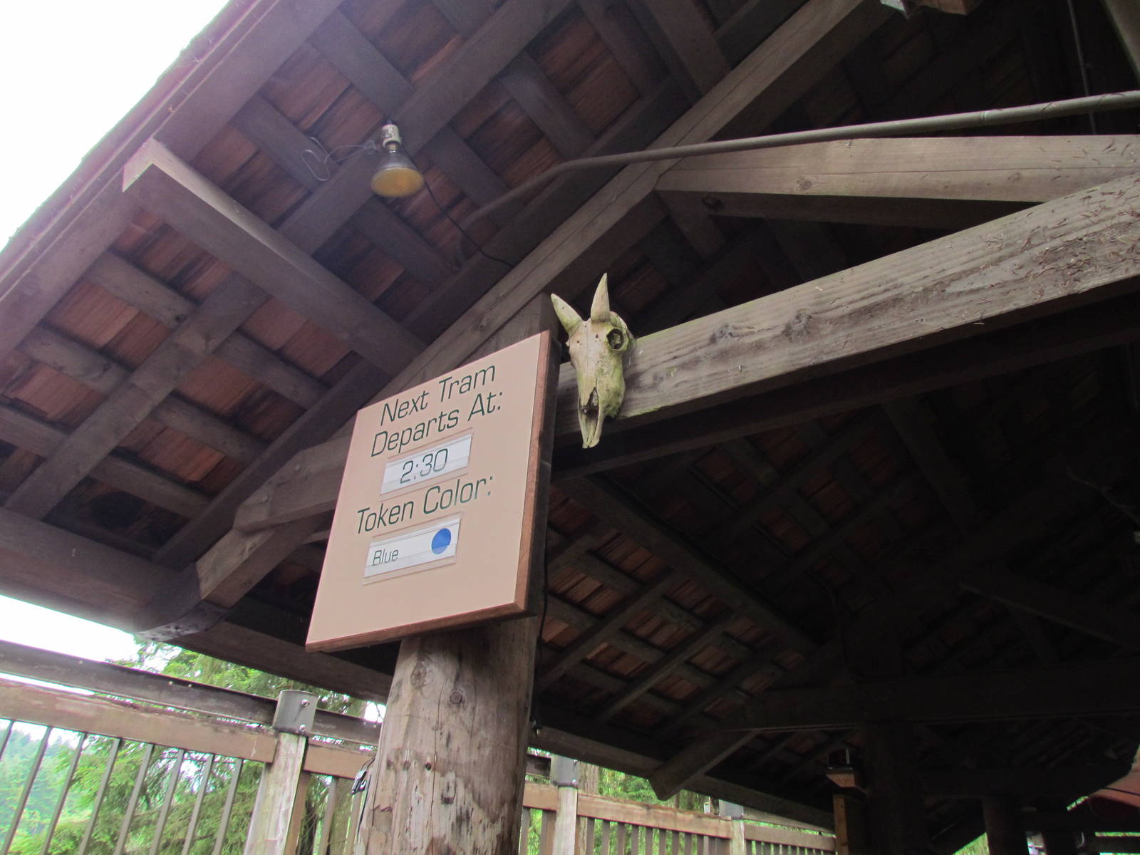 Waiting Are for Tram Ride