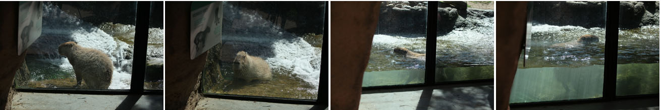 waiting for a refill