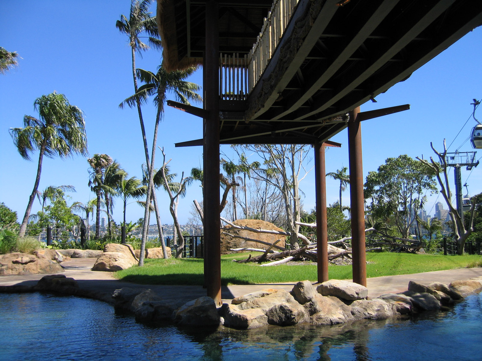 Waiting for elephants - Feb 2006