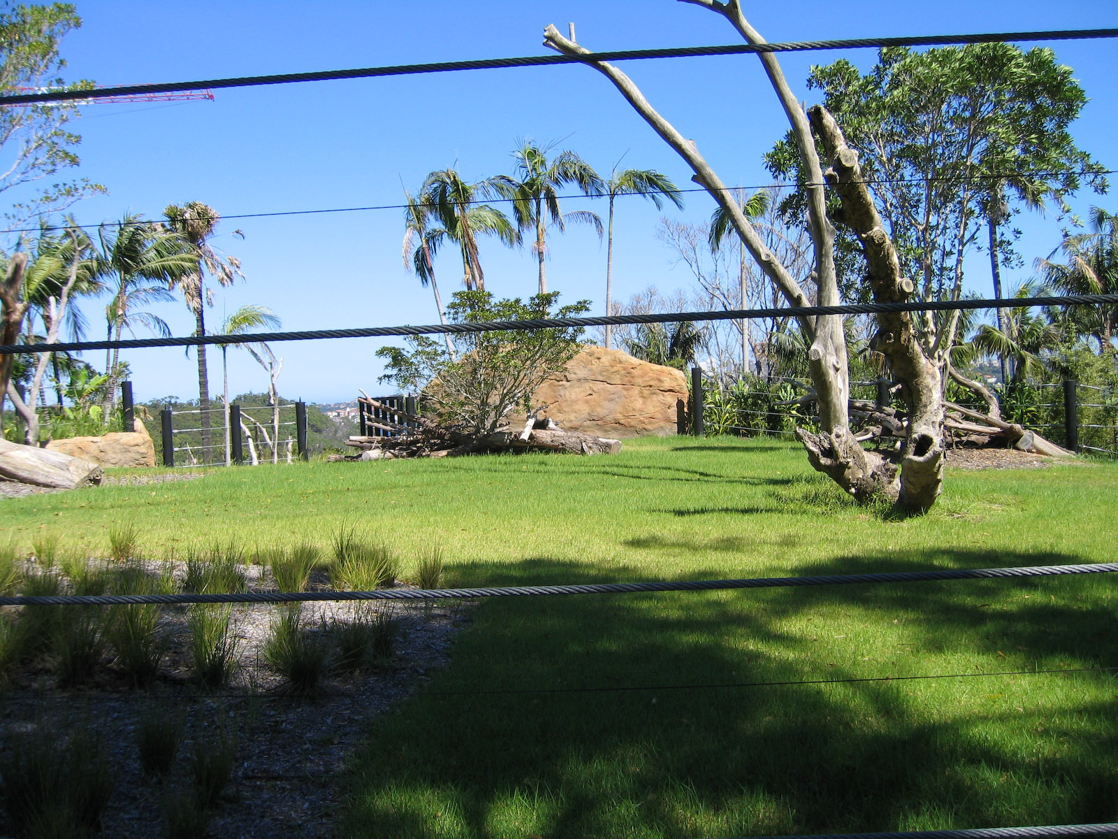 Waiting for elephants - Feb 2006