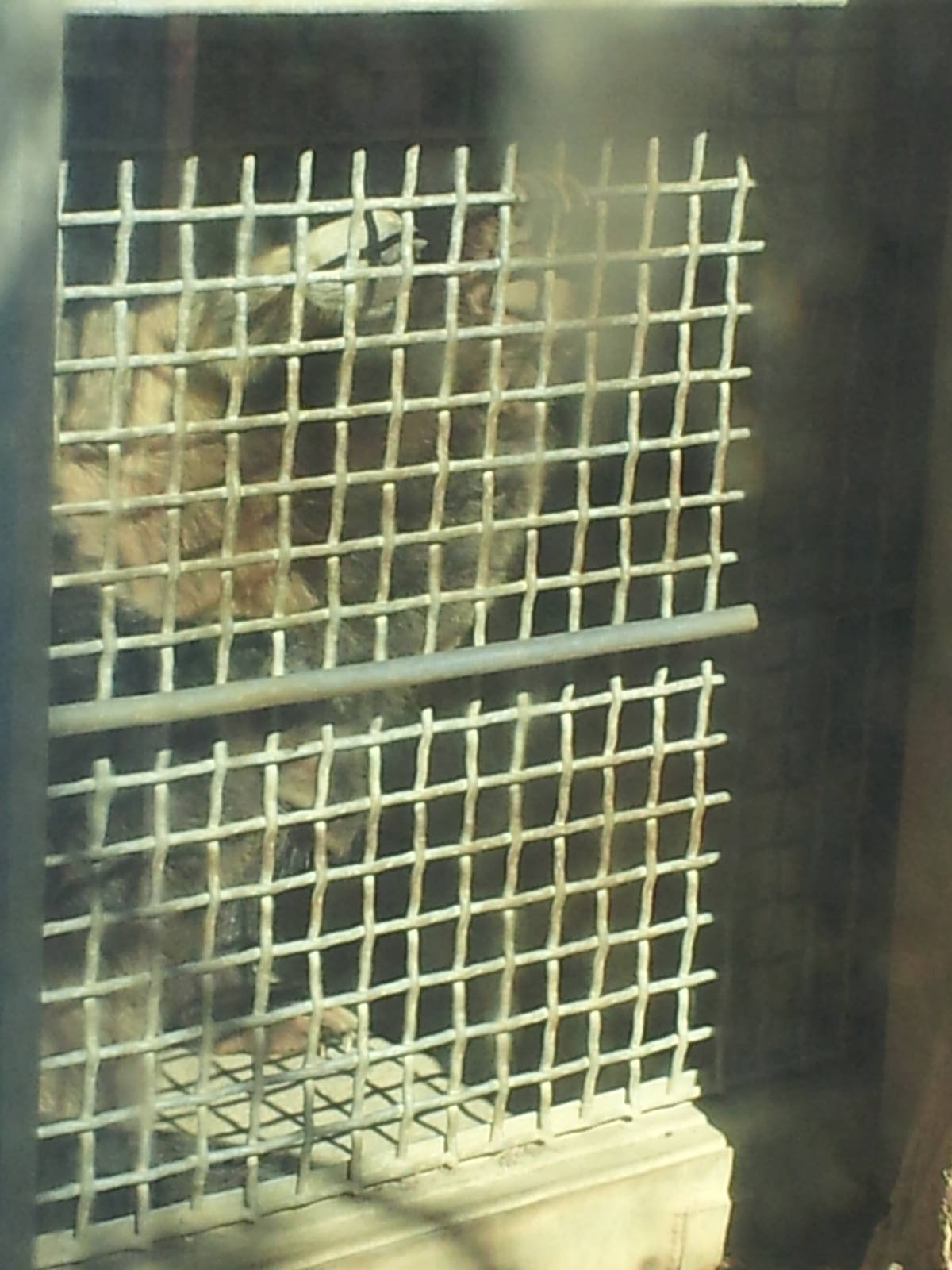 Waiting For Enrichment