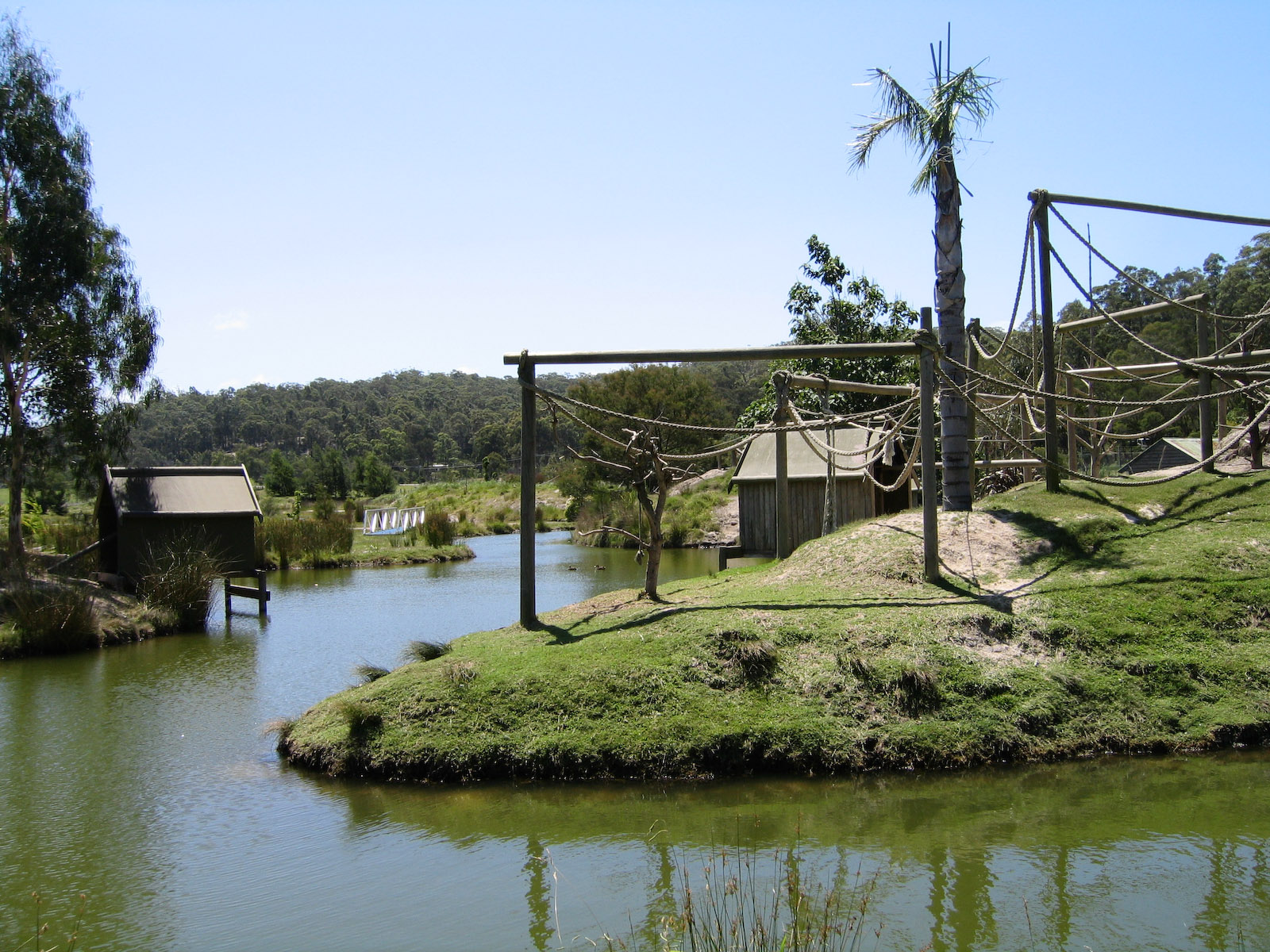 Waiting for Spider Monkeys- Dec 2003