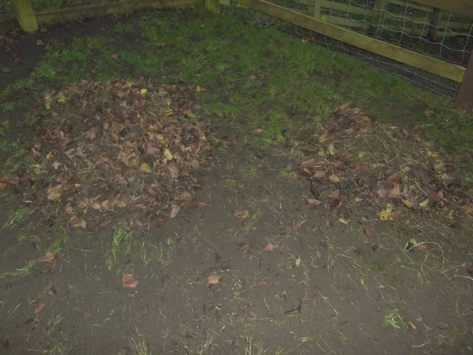 Waiting for the wheelbarrow, 29th November 2014