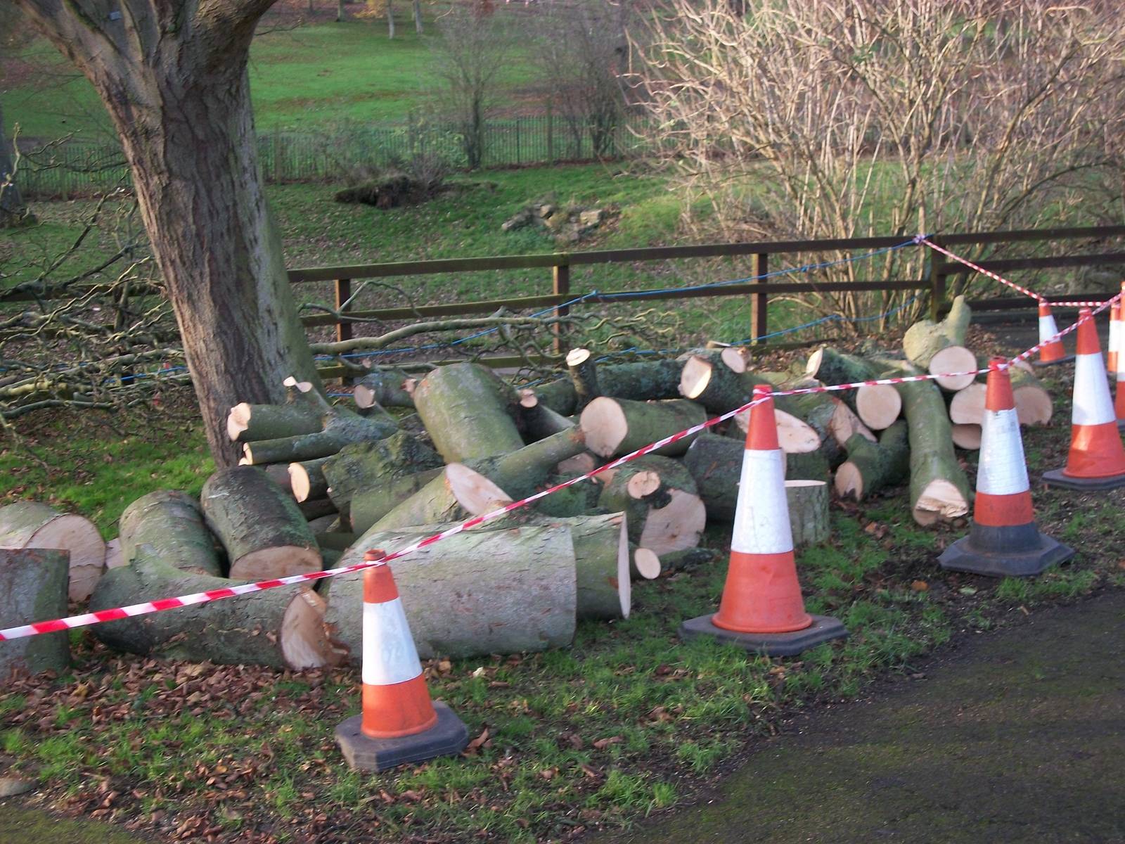 Waiting to become Goat Mountain, November 2013