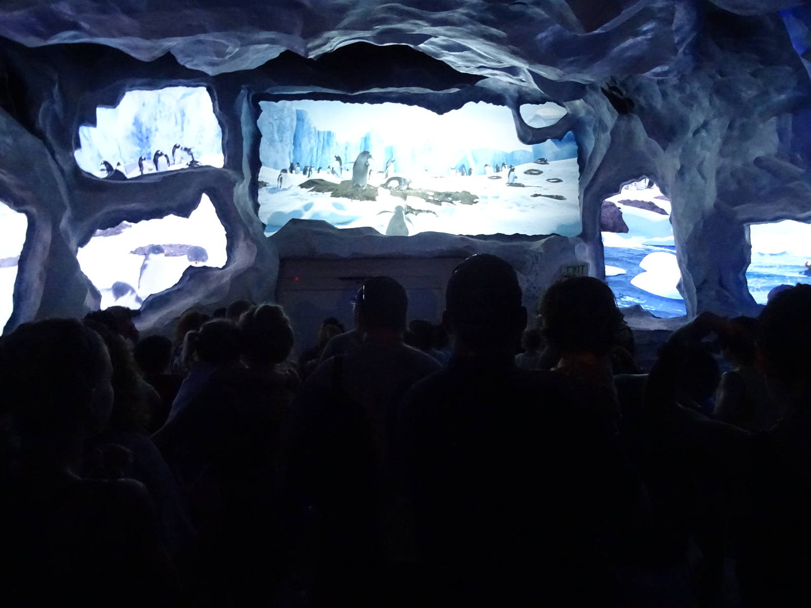 Waiting to Enter Antarctica: Empire of the Penguin at SeaWorld Orlando
