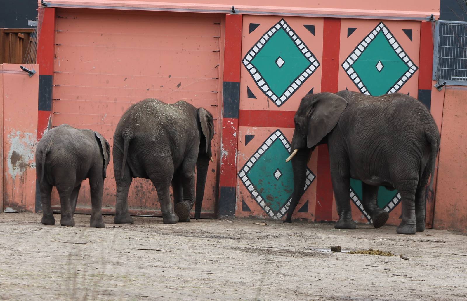 Waiting to go inside