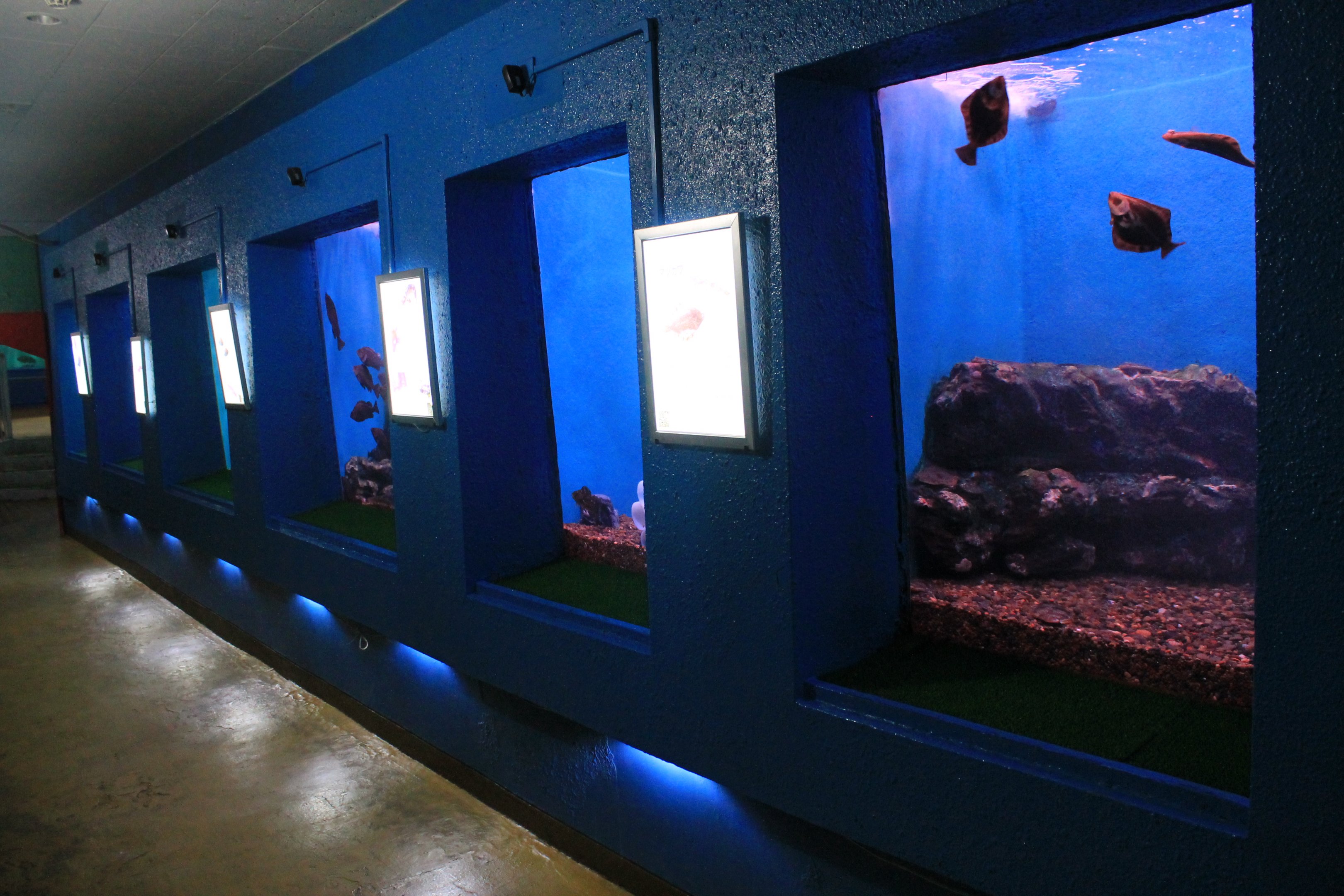 Wakkanai Aquarium