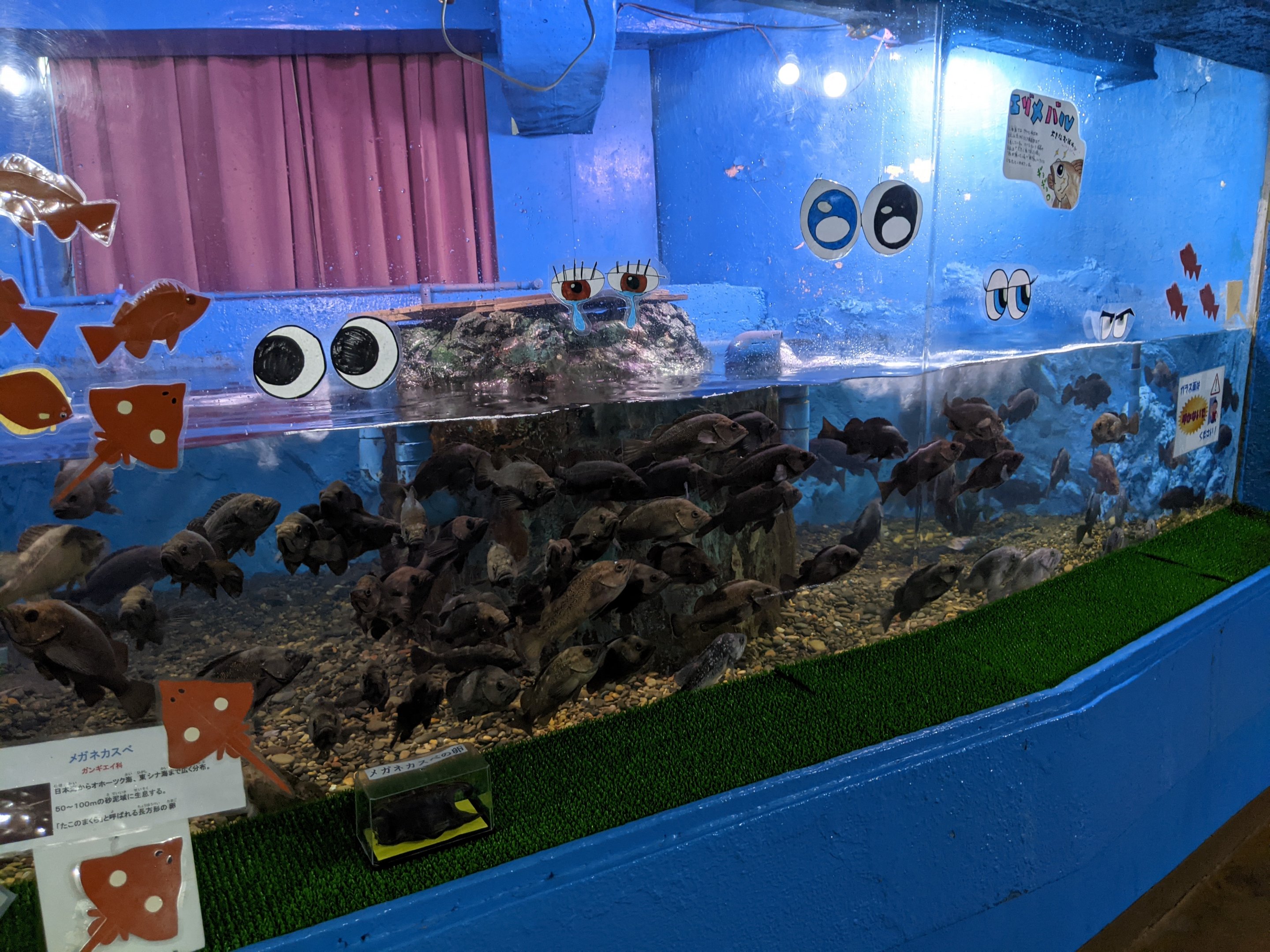 Wakkanai Aquarium
