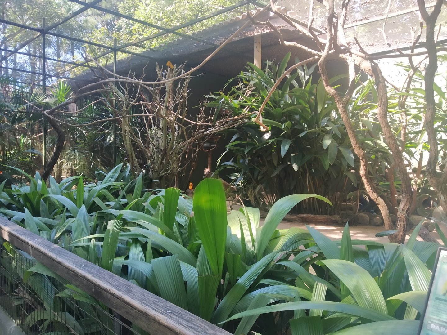 Wal-through aviaries