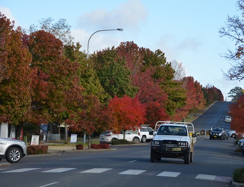 Walcha, NSW.  Autumn colours