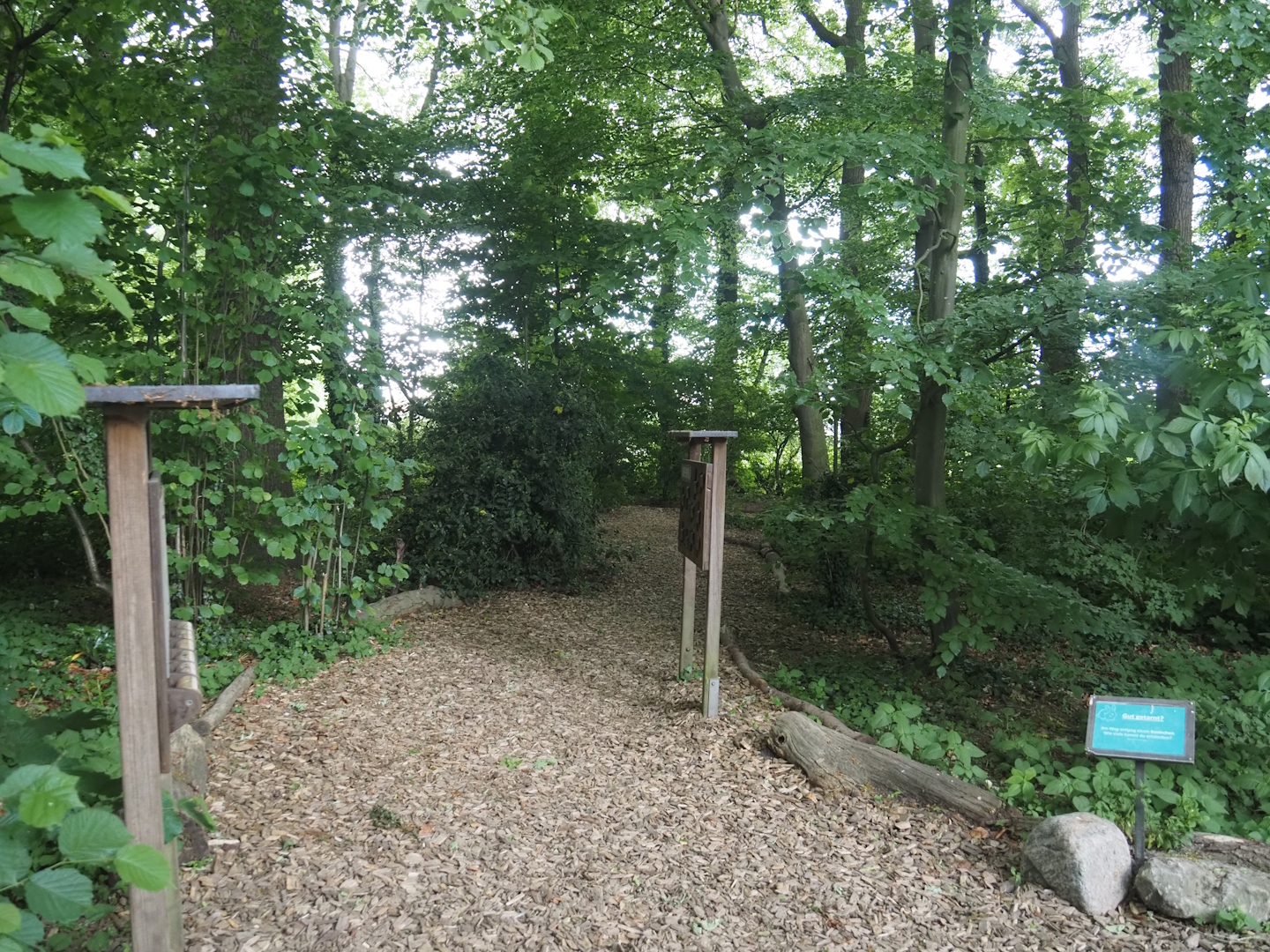 Wald-Erlebnispfad, forest education and experience trail, 2025-05-22