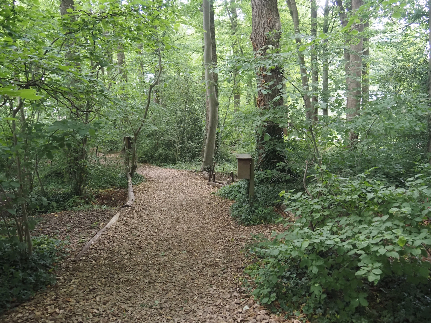 Wald-Erlebnispfad, forest education and experience trail, 2025-05-22