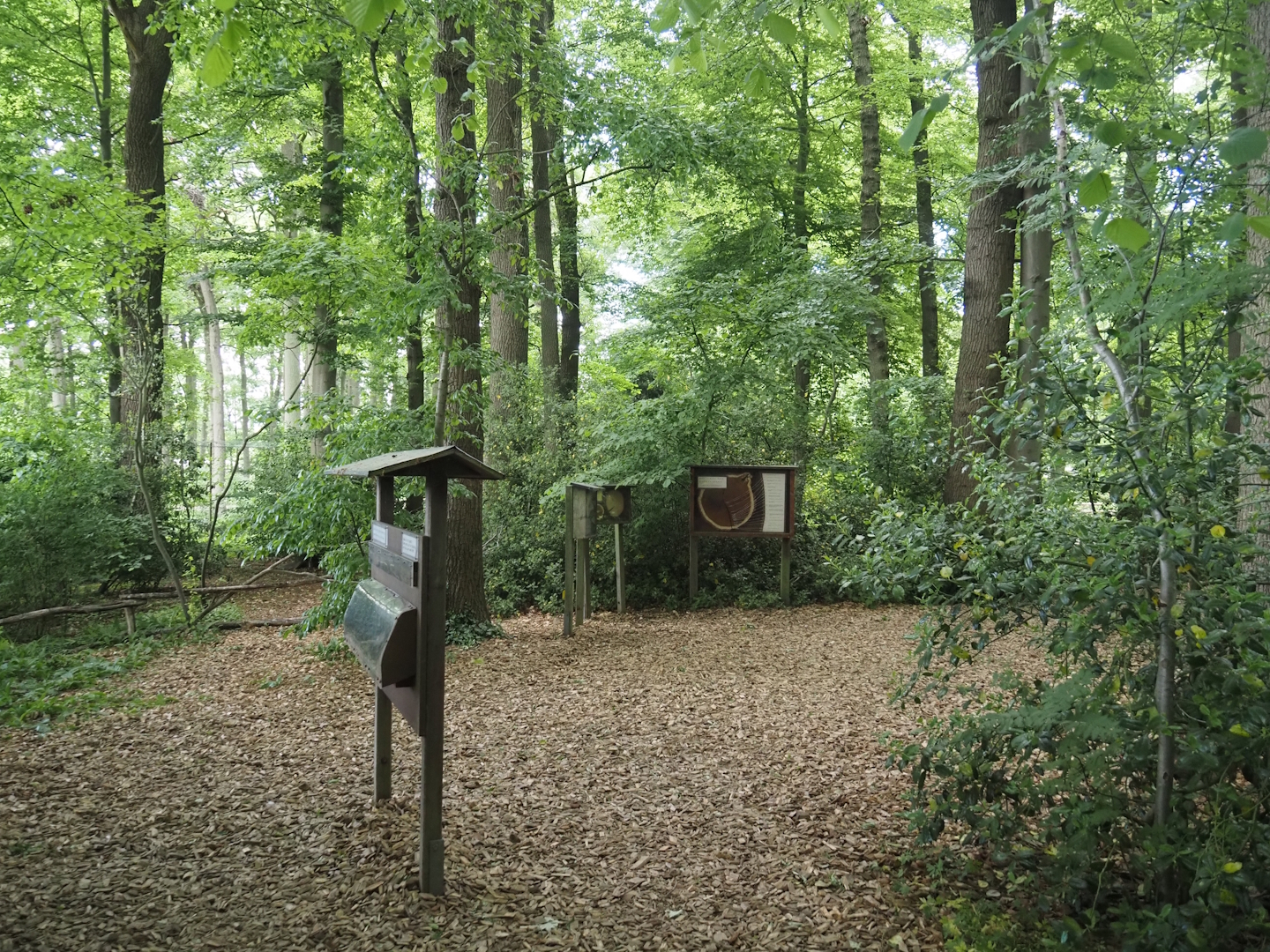 Wald-Erlebnispfad, forest education and experience trail, 2025-05-22