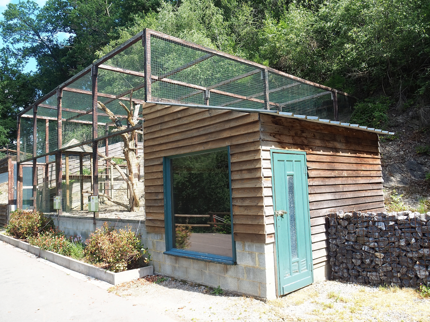 Waldrapp and African sacred ibis aviary and barn, 2023-06-24