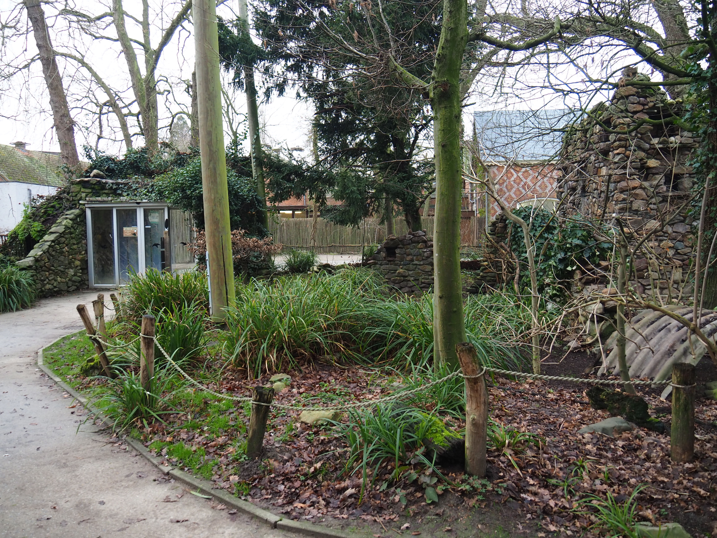 Waldrapp and European owl aviary, 2020-01-11