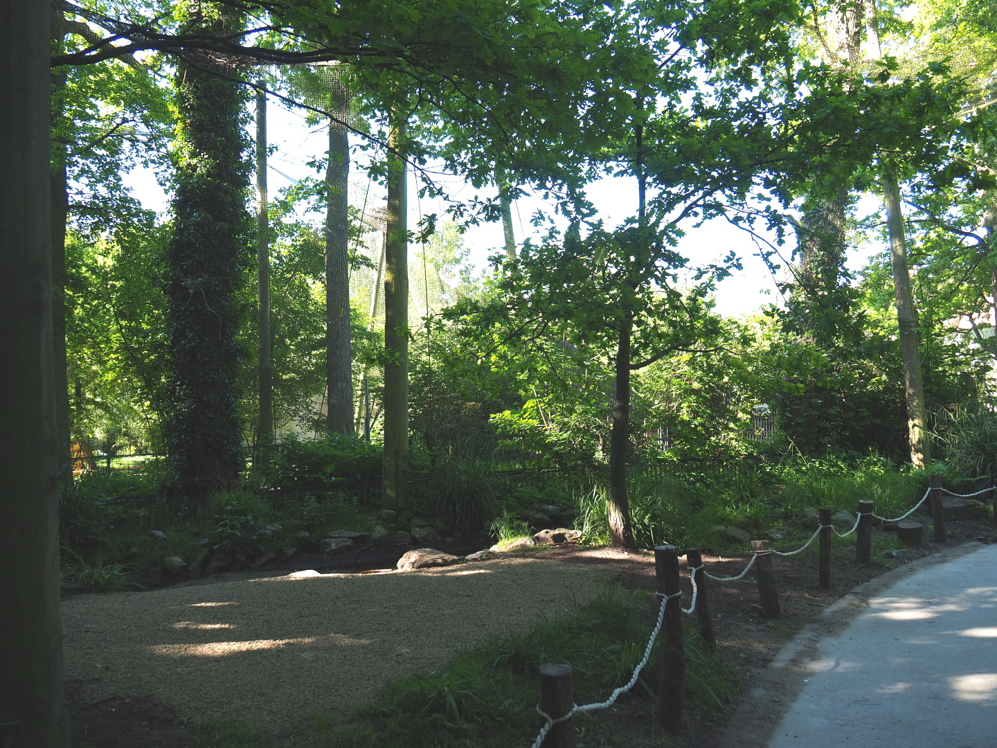 Waldrapp aviary - Former European beaver exhibit, 2021-06-01