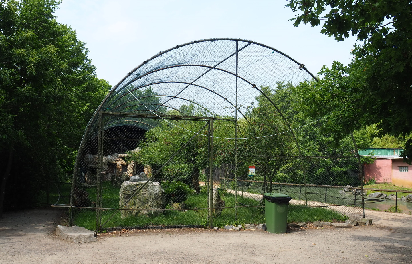 Waldrapp, Hamerkop and Southern ground hornbill aviary, 2021-06-15