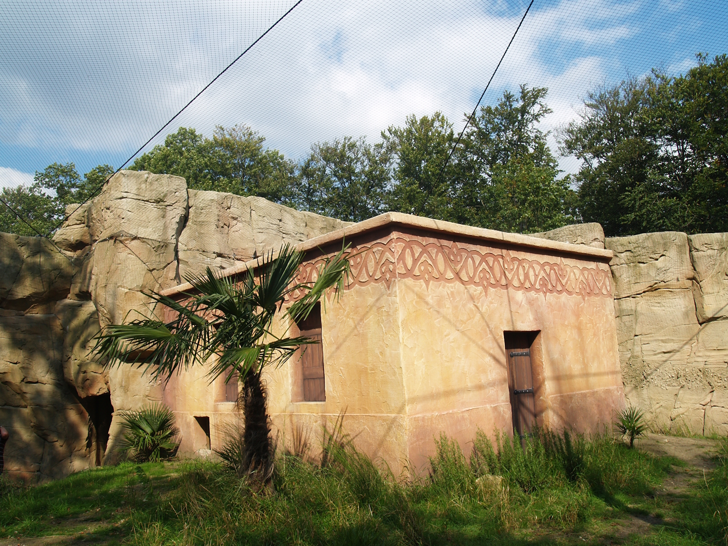Waldrapp house in walk-through aviary, 2007-09-16