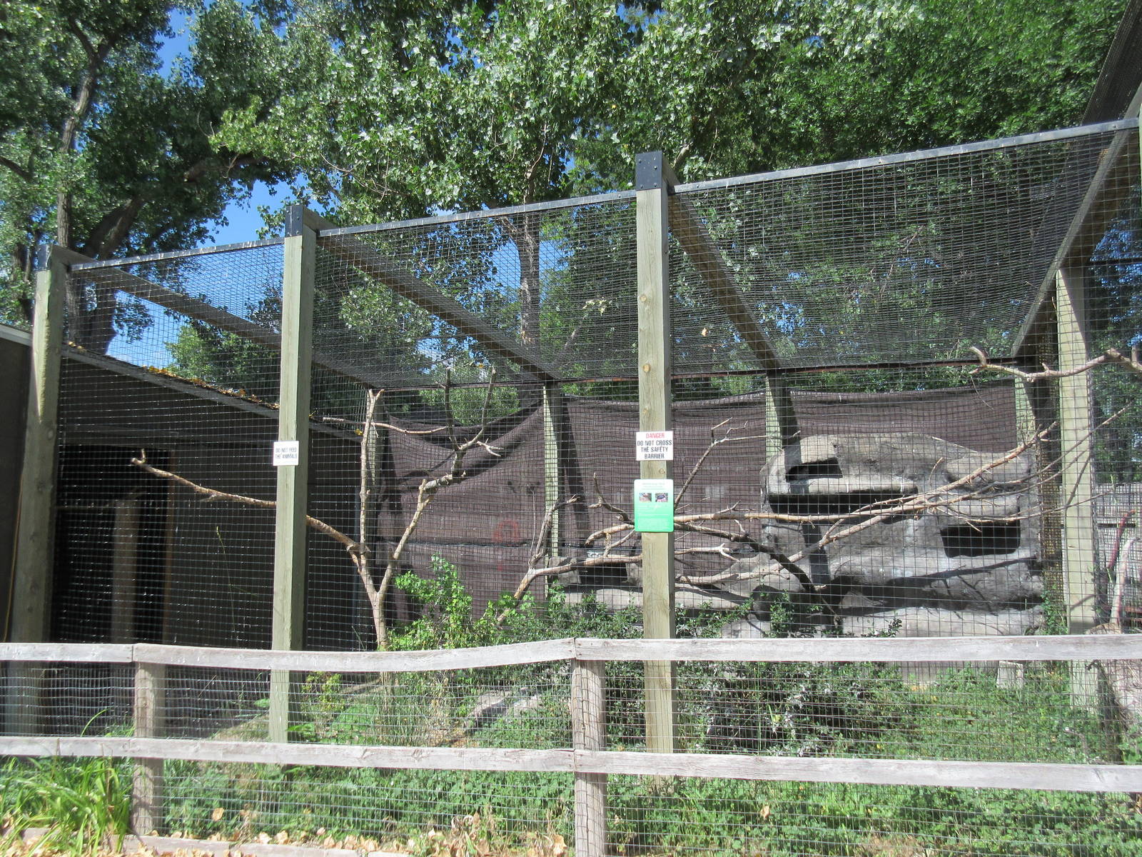 Waldrapp Ibis Exhibit