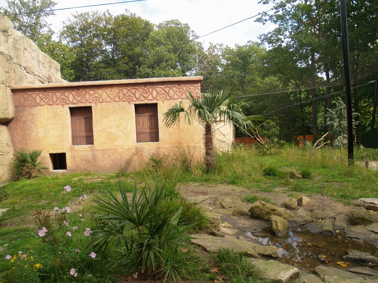 Waldrapp walk-through aviary, 2007-09-16