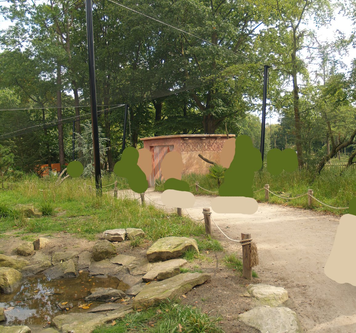 Waldrapp walk-through aviary, 2007-09-16
