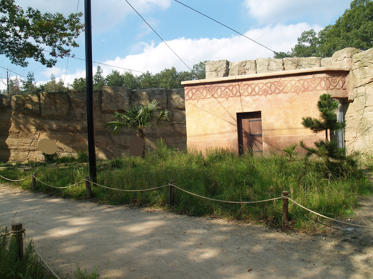Waldrapp walk-through aviary, 2007-09-16