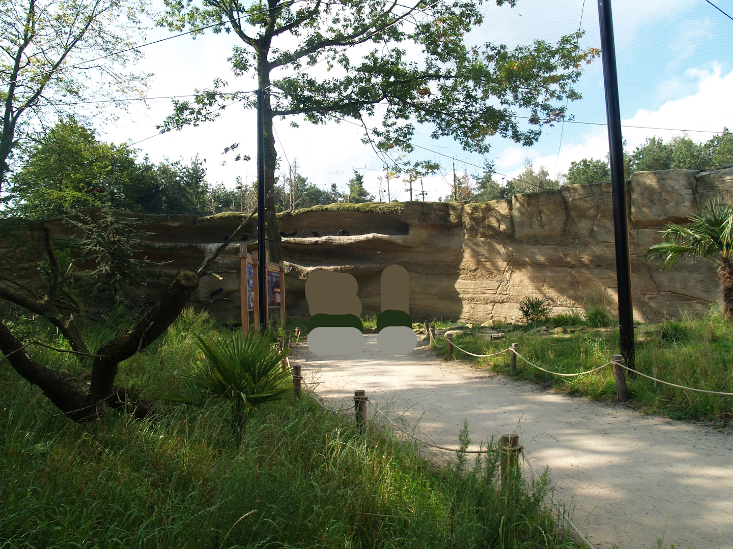 Waldrapp walk-through aviary, 2007-09-16