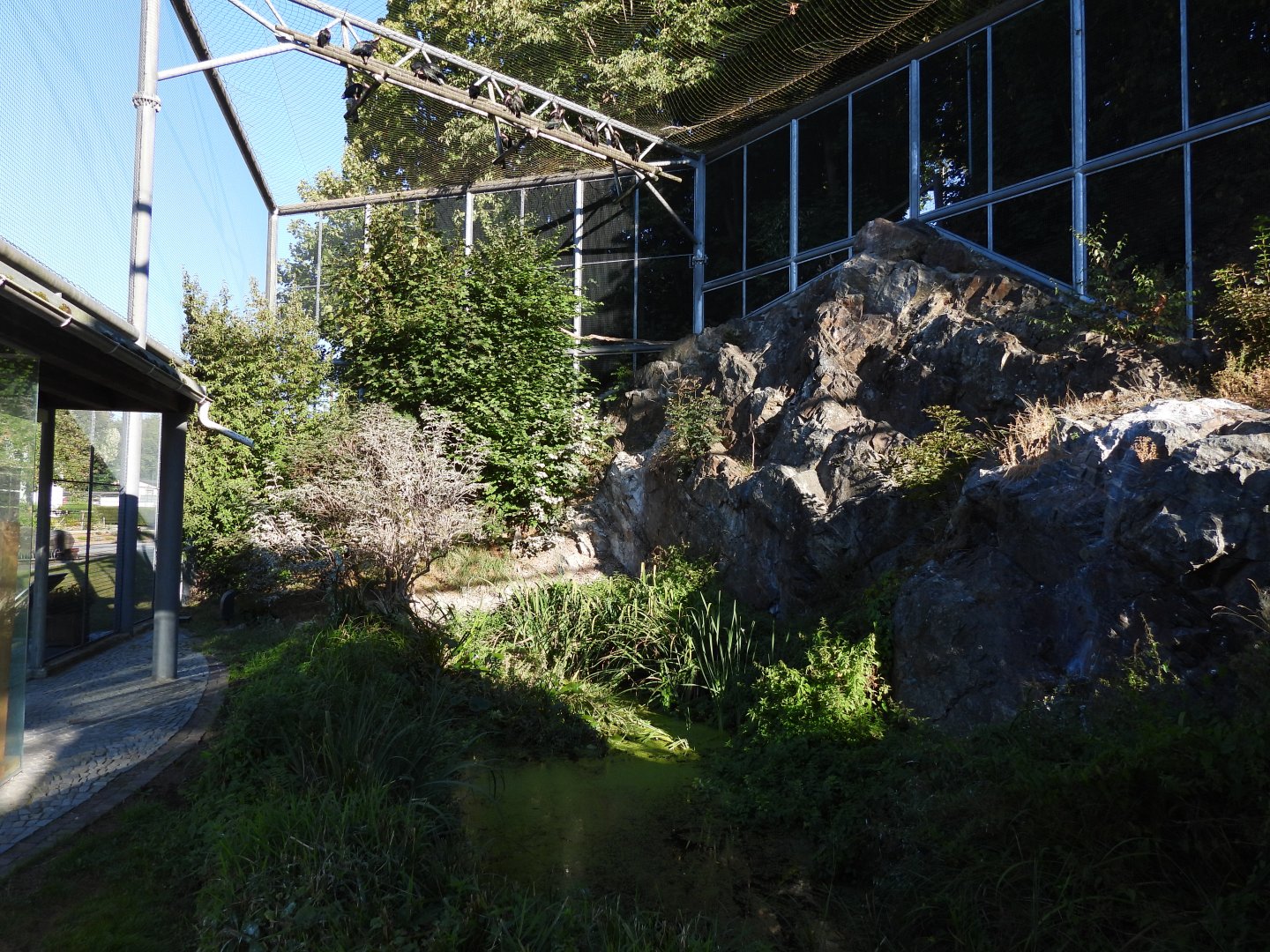 Waldrappvoliere Waidhofen an der Thaya